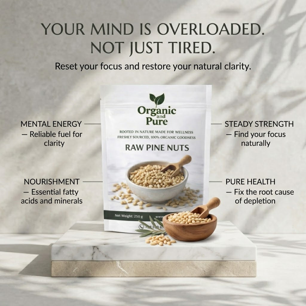 Chilgoza Magaz – Raw Pine Nuts Without Shell 250gm Packs